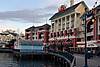 n530675555_2081937_1047.jpg