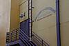 Picture-900.jpg