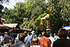 Picture-1378.jpg