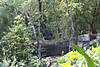 Picture-1419.jpg