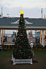Picture-338.jpg