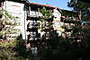 Picture-1275.jpg