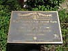 carolwood3.jpg