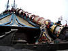dlp4.jpg