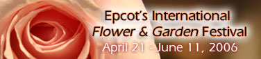epcots international